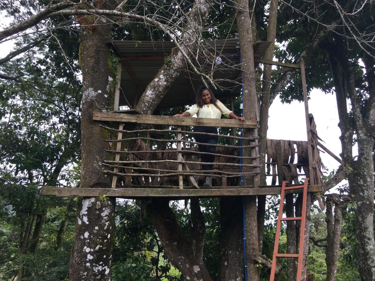 Mai Kilimanjaro Home Stay Marangu Exterior foto