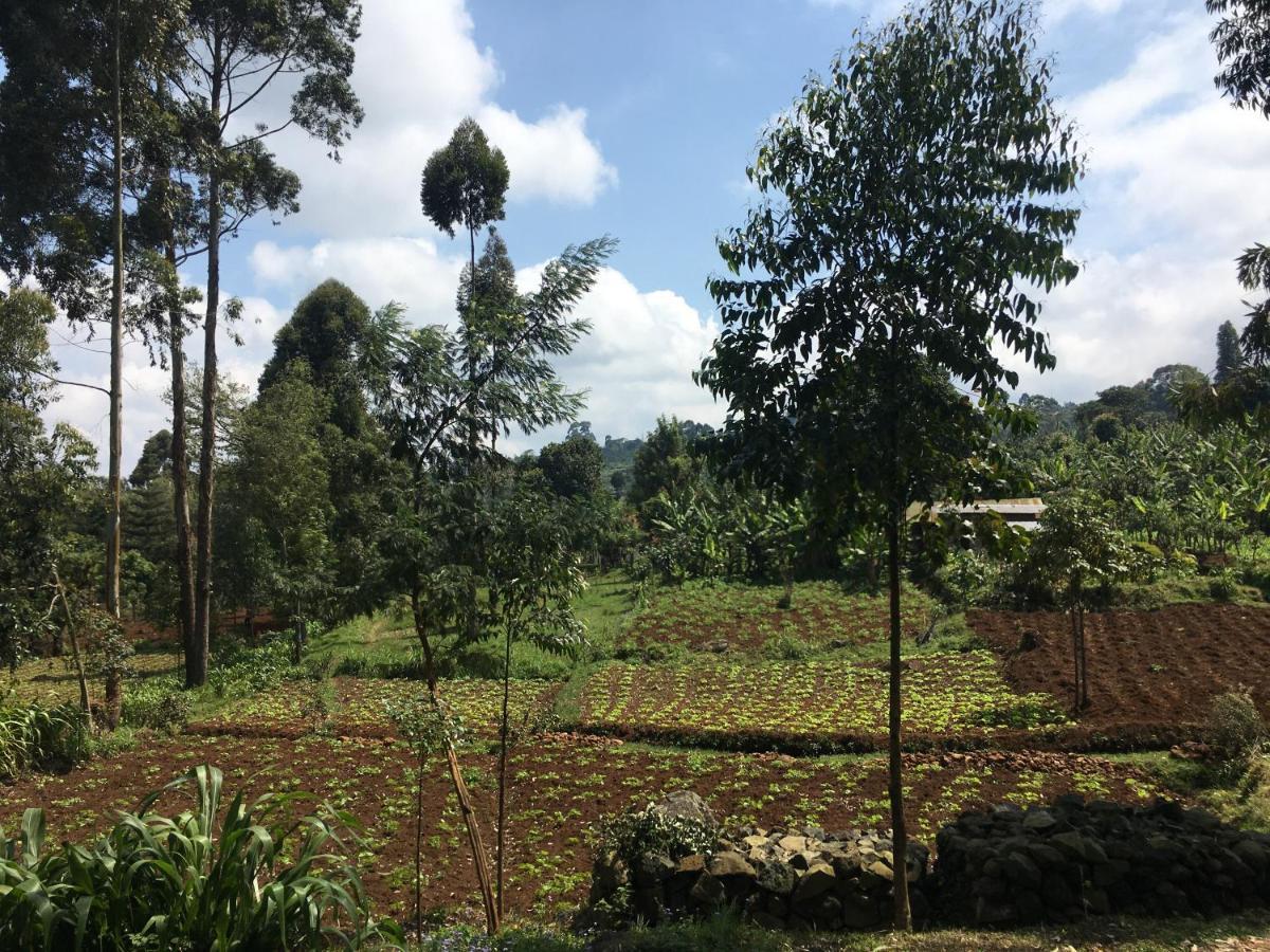 Mai Kilimanjaro Home Stay Marangu Exterior foto