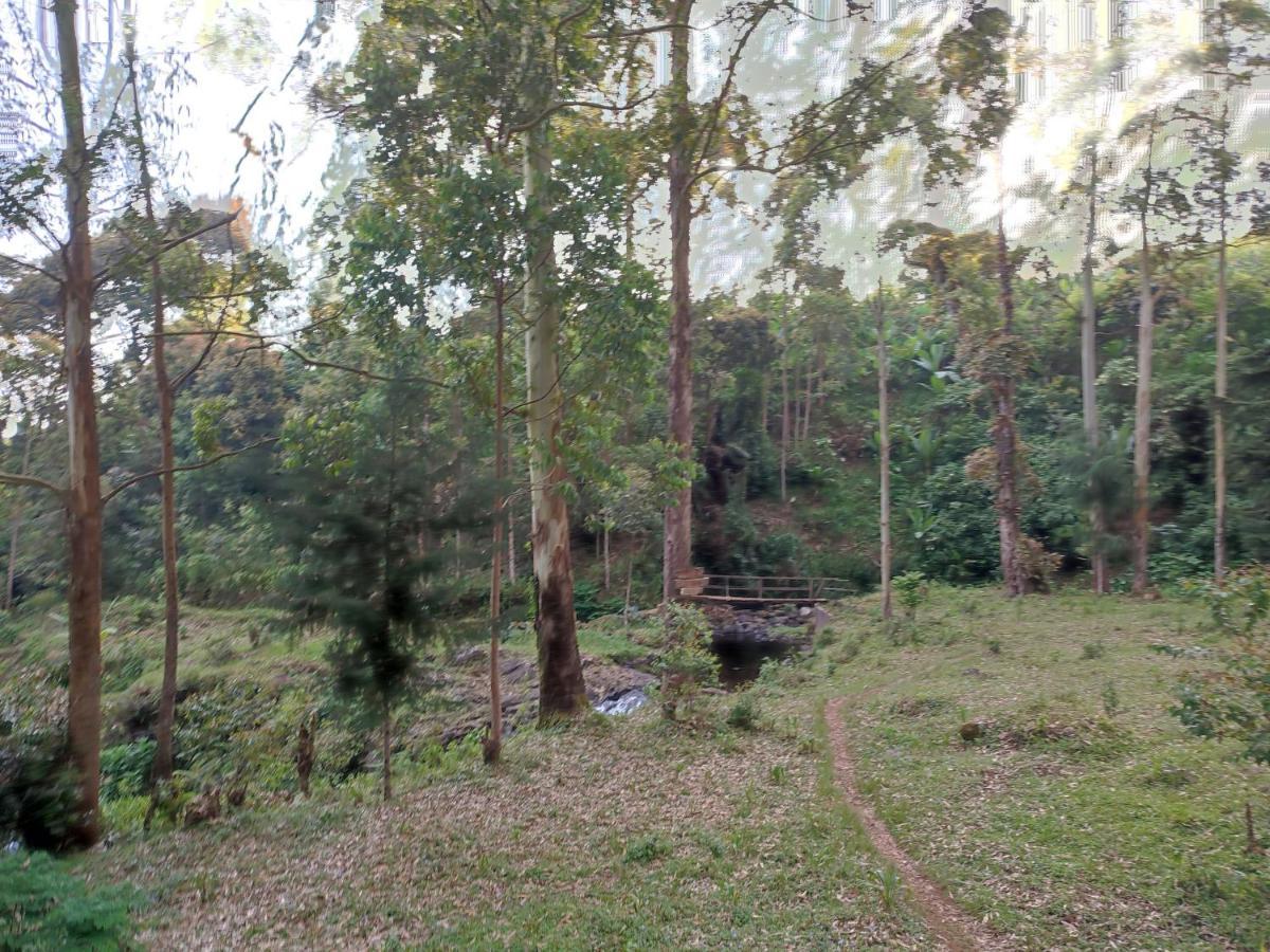 Mai Kilimanjaro Home Stay Marangu Exterior foto