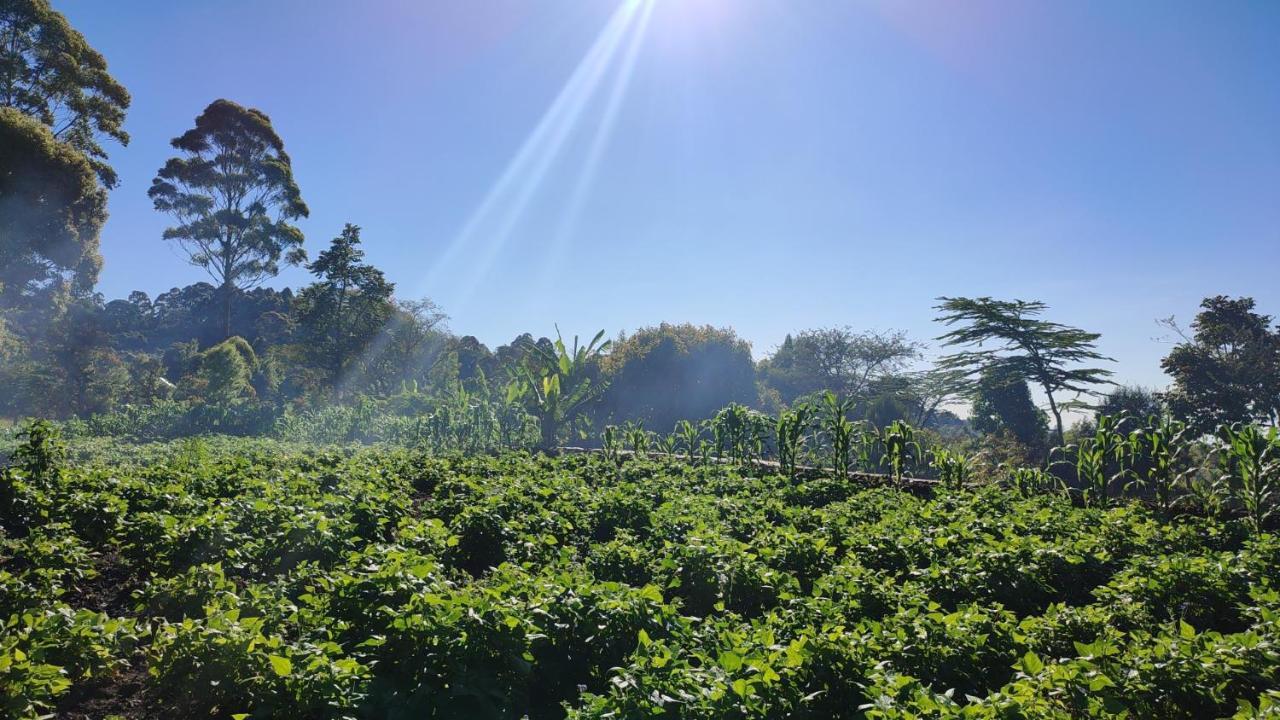 Mai Kilimanjaro Home Stay Marangu Exterior foto