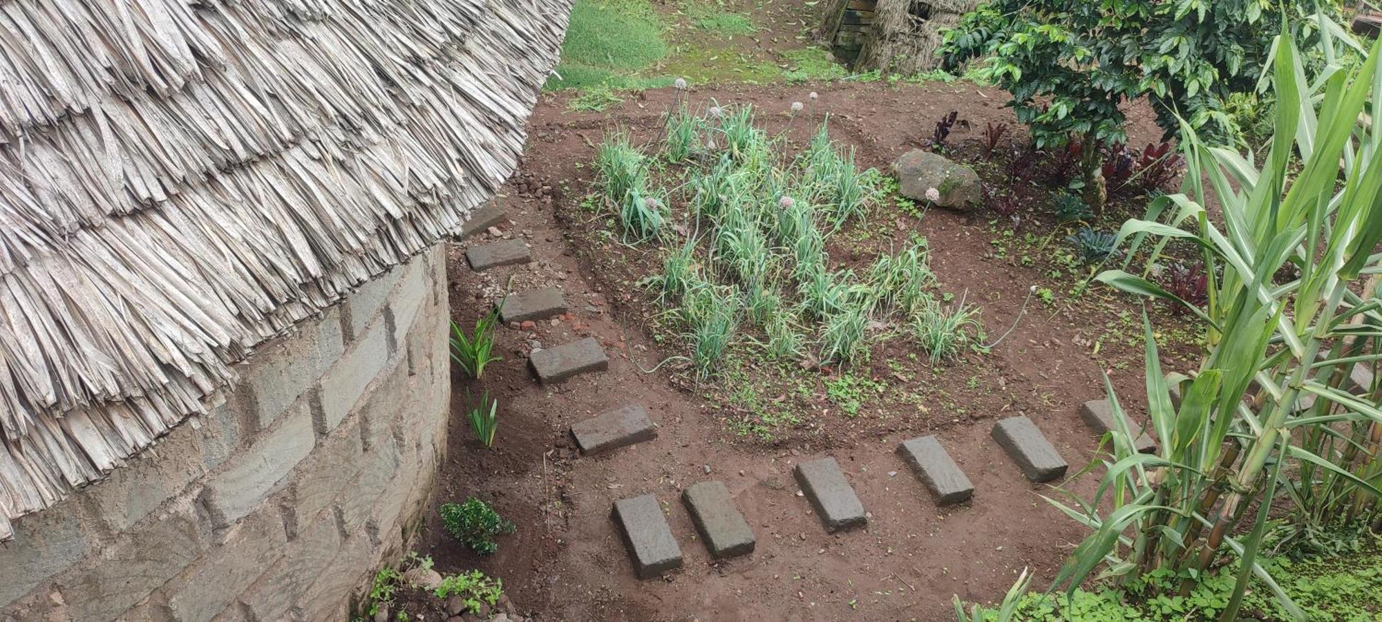 Mai Kilimanjaro Home Stay Marangu Exterior foto